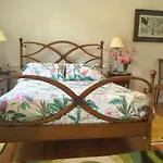 Elena Guest house 4*