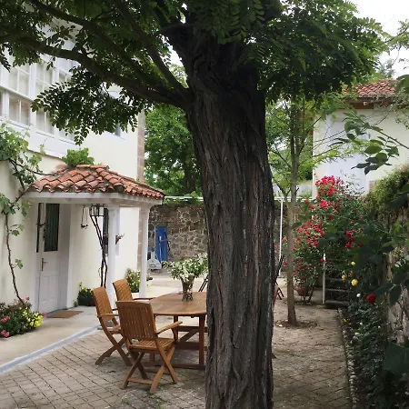 Πανσιόν Elena