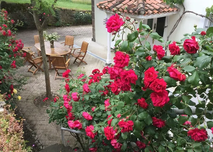 Elena Gasthuis Potes